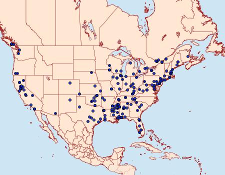 Distribution Data for Mompha eloisella