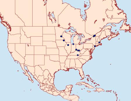 Distribution Data for Mompha luciferella