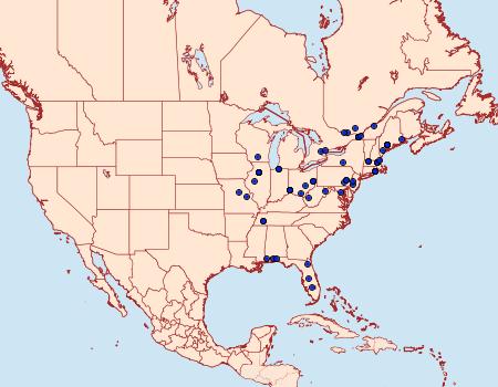 Distribution Data for Mompha stellella