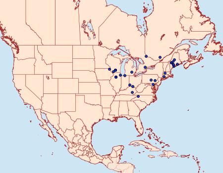 Distribution Data for Mompha terminella