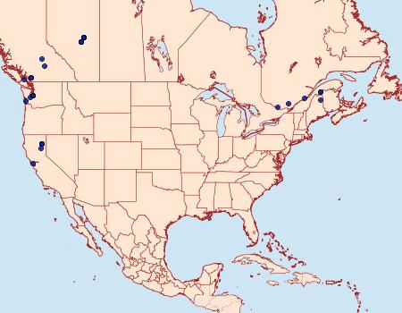 Distribution Data for Mompha unifasciella