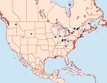 Distribution Data for Blastodacna bicristatella