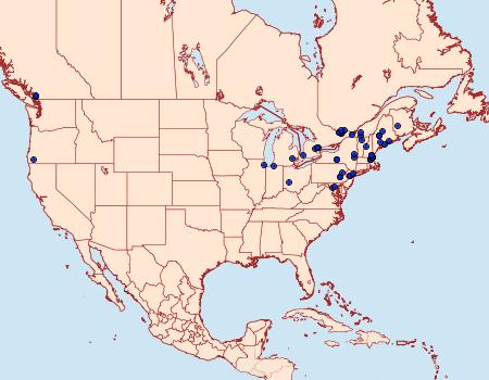 Distribution Data for Chrysoclista linneella