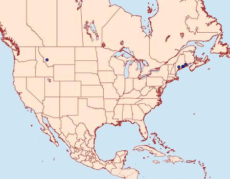 Distribution Data for Chrysoclista villella