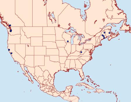 Distribution Data for Cosmopterix molybdina