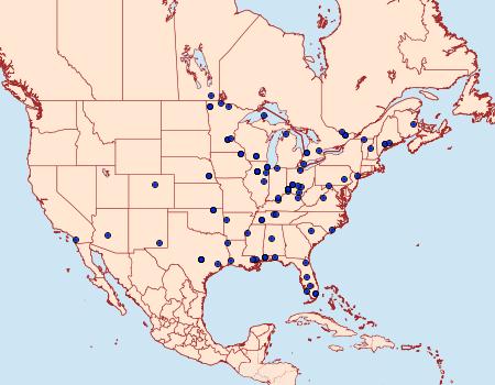 Distribution Data for Cosmopterix pulchrimella