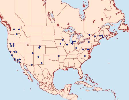 Distribution Data for Cosmopterix montisella