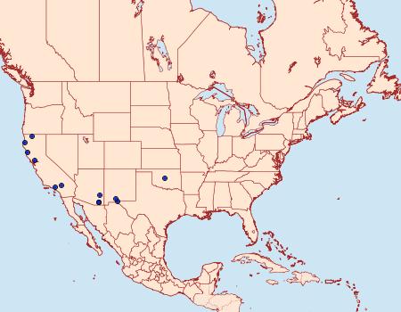 Distribution Data for Cosmopterix opulenta