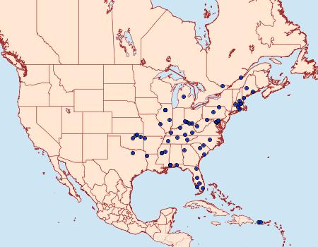 Distribution Data for Cosmopterix gemmiferella