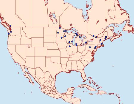 Distribution Data for Cosmopterix fernaldella