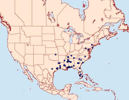 Distribution Data for Melanocinclis lineigera