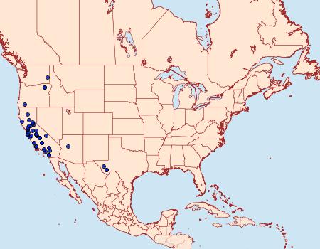 Distribution Data for Eteobalea iridella