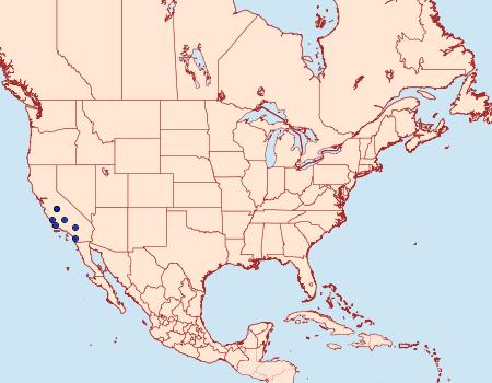 Distribution Data for Eteobalea enchrysa