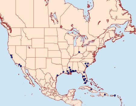 Distribution Data for Anatrachyntis rileyi