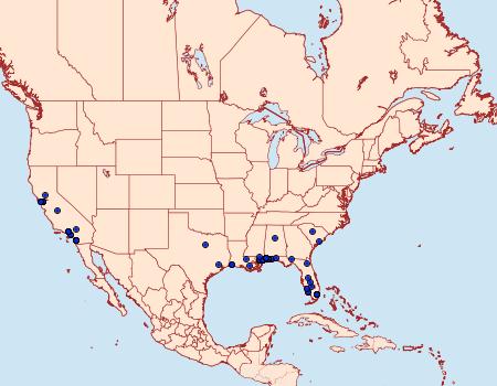 Distribution Data for Anatrachyntis badia