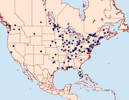 Distribution Data for Limnaecia phragmitella