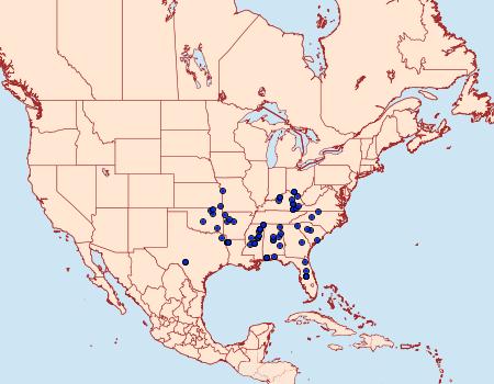 Distribution Data for Triclonella pergandeella