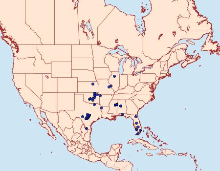 Distribution Data for Triclonella determinatella