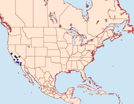 Distribution Data for Anoncia mosa