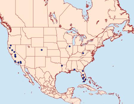 Distribution Data for Periploca orichalcella