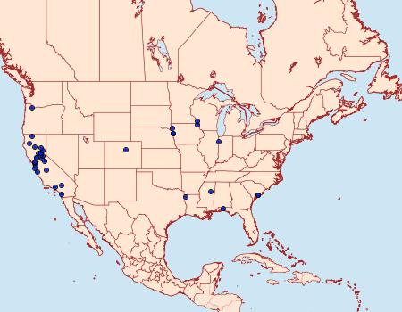 Distribution Data for Periploca ceanothiella