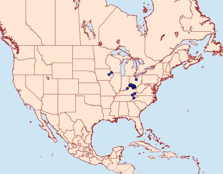 Distribution Data for Astrotischeria astericola