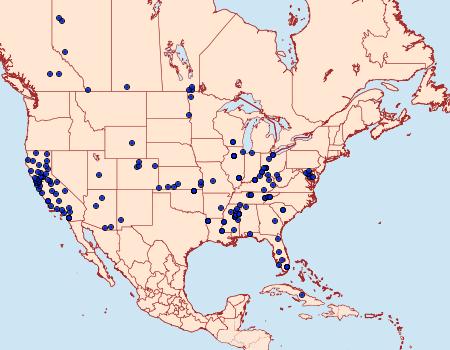 Distribution Data for Walshia miscecolorella