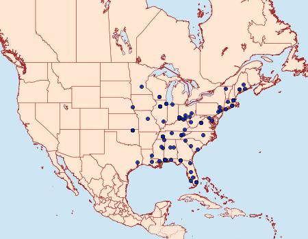 Distribution Data for Perimede erransella