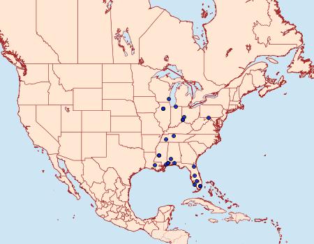 Distribution Data for Perimede falcata