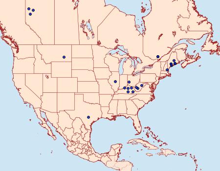 Distribution Data for Scythris eboracensis