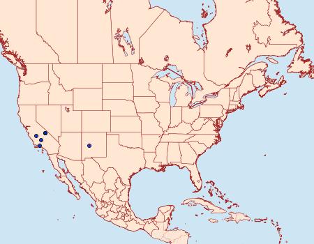 Distribution Data for Arotrura divaricata