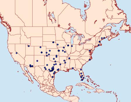 Distribution Data for Scythris trivinctella