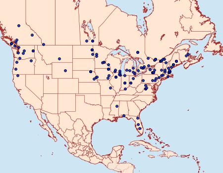 Distribution Data for Metzneria lappella