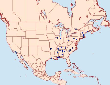 Distribution Data for Monochroa quinquepunctella