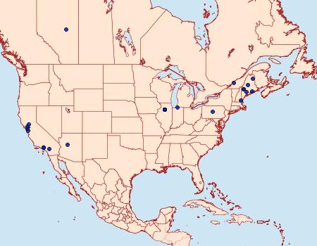 Distribution Data for Chrysoesthia lingulacella