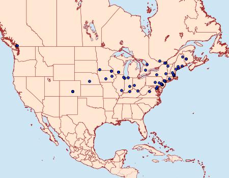 Distribution Data for Chrysoesthia sexguttella