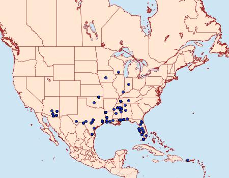 Distribution Data for Aristotelia corallina