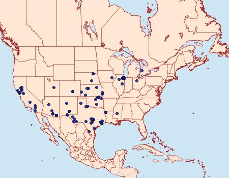 Distribution Data for Aristotelia elegantella