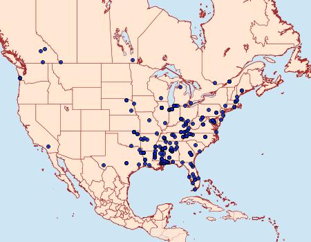 Distribution Data for Aristotelia rubidella