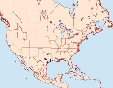 Distribution Data for Numata bipunctella