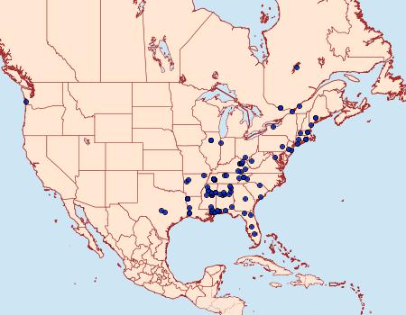 Distribution Data for Glauce pectenalaeella