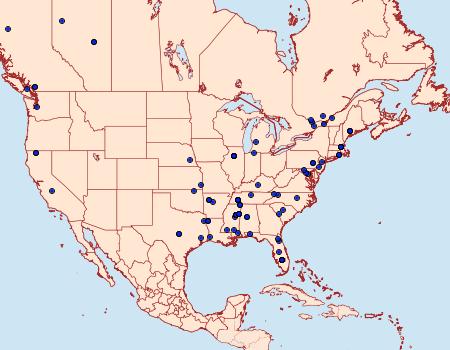 Distribution Data for Agnippe prunifoliella