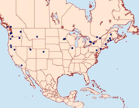 Distribution Data for Recurvaria nanella