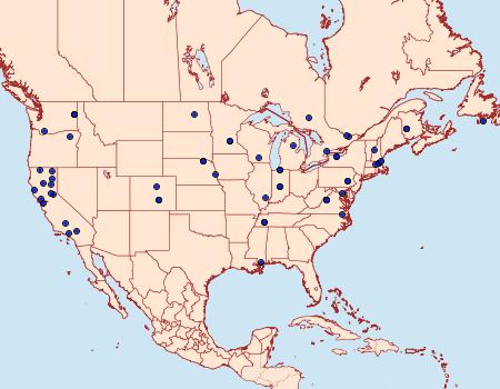 Distribution Data for Coleotechnites coniferella