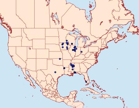 Distribution Data for Coleotechnites eryngiella