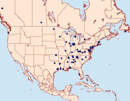 Distribution Data for Coleotechnites florae