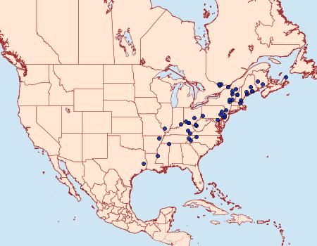 Distribution Data for Paraclemensia acerifoliella