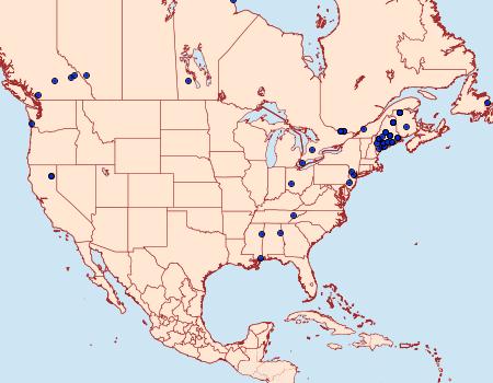 Distribution Data for Coleotechnites piceaella