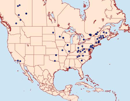 Distribution Data for Coleotechnites quercivorella