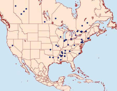 Distribution Data for Sinoe chambersi